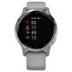 Умные часы Garmin Vivoactive 4s (серый/серебристый)