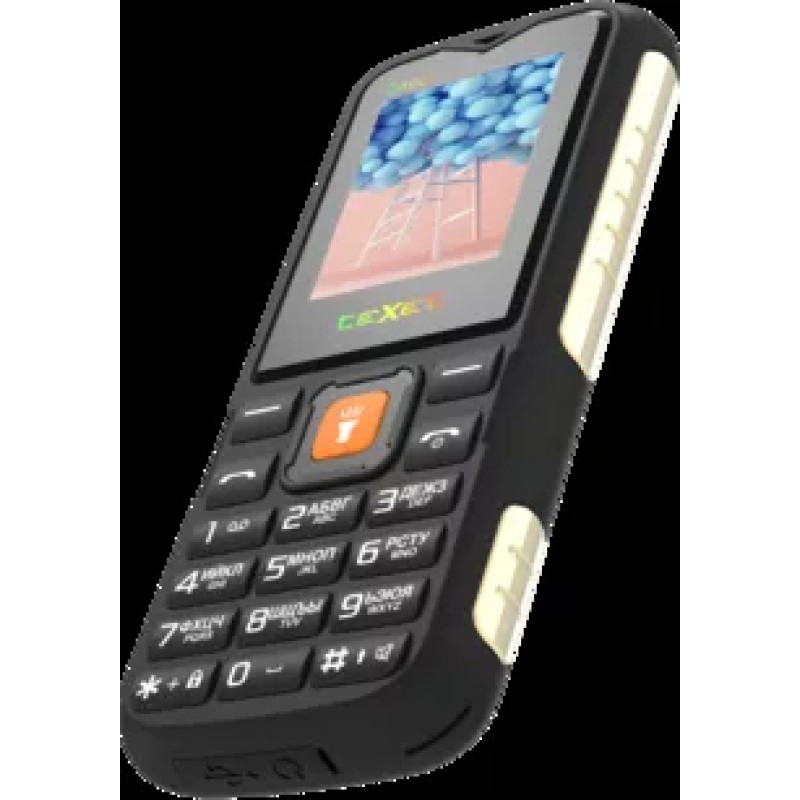 Мобильный телефон TeXet TM-D400 (черный)