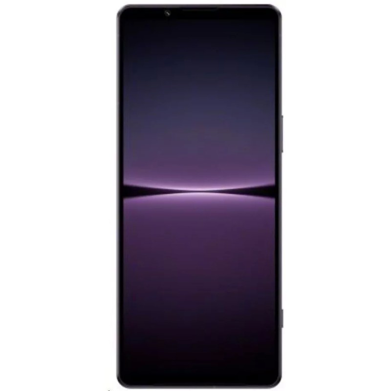 Смартфон Sony Xperia 1 IV 12GB/512GB фиолетовый (XQ-CT72)