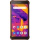 Смартфон Blackview BV6600 Pro (оранжевый)