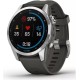 Умные часы Garmin Fenix 7S 42 мм (серебристый/графитовый)