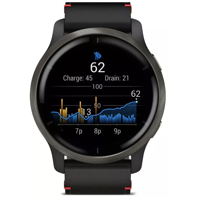 Умные часы Garmin Venu 2 (нержавеющая сталь/черный кожаный)