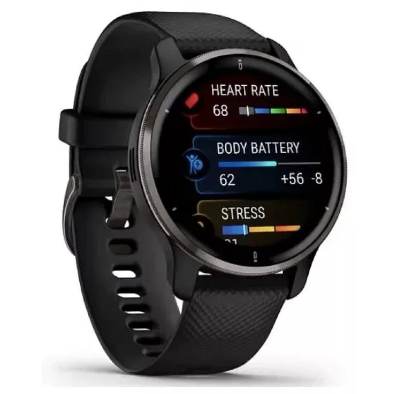 Умные часы Garmin Venu 2 Plus (черный)